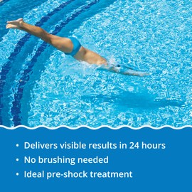 In The Swim Quick Clear Green - Turn Your Pool Water from Green and Cloudy to Sparkling Blue - 4 Pound