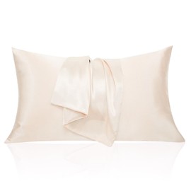 2 Piece Satin Pillowcase for Hair and Skin Similar to Silk Pillow Cases with Envelope Closure Cooling Pillow Cases for Sleeping Gifts for Women Men (20"x26"Standard Size,Champagne)