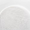 Sodium Carbonate 30 lbs. (SODA ASH, ph Increase) 99.95% Purity