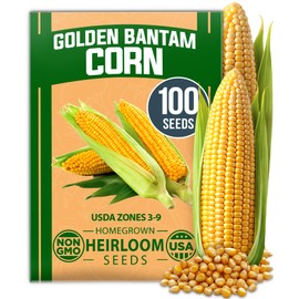 HOME GROWN Golden Bantam Corn Seeds Pack – 100 Vegetable Seeds for Planting Outdoors. Grow Your Own Flavorful, Heirloom Sweet Corn, Perfect for Both Beginners and Experienced Gardeners. (Zea mays)