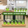 Meekear 10 Herb Seeds Garden Starter Grow Kit with Green