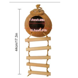 rflaueo 1pc Gecko Coconut Husk Hut with Ladder Natural Coconut Shell Gecko Nest Coconut Bird Nest Reptile Coconut Hide for Lizards Chameleon Gecko Snakes Small Animal(U285-1)