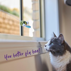 Kazoo Bouncy Bee Cat Toy