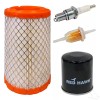 red hawk GOLF CART CLUB CAR GAS TUNE-UP KIT PRECEDENT 04 UP 350CC  RED HAWK FIL-1103 9255