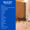BioAdvanced Home Pest Germ Killer Indoor & Outdoor Insect Killer,