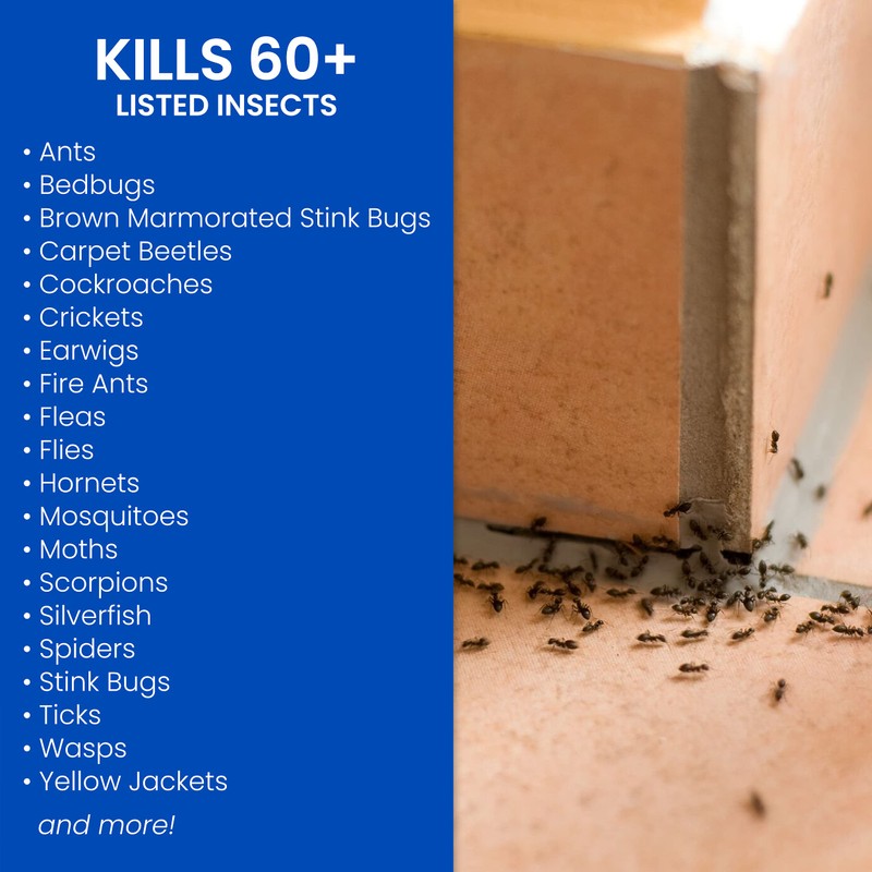 BioAdvanced Home Pest Germ Killer Indoor & Outdoor Insect Killer,