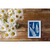 Cyanotype Solar Sun Print Kit Paper