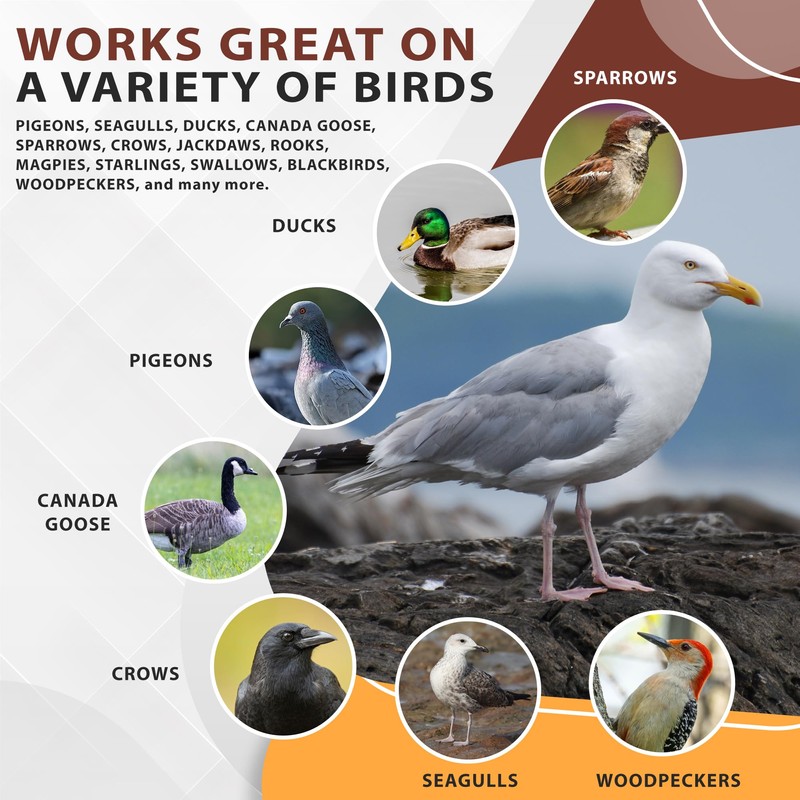 Flock Free Bird Repellent Spray, Ready to Use Bird Spray,