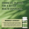 모링가 캡슐 6000mg - 소화 면역력 및 신진대사 지원, 120정,