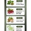 Dr. NUGA 국산 솔잎 추출물 솔로몬 정, 120회분, 2세트 Dr.