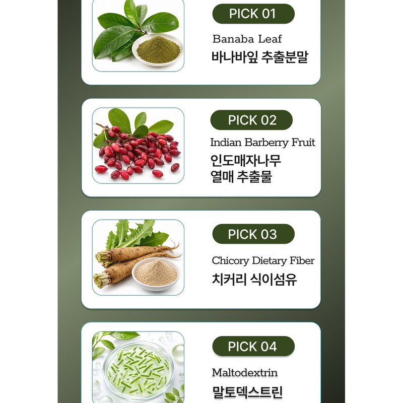 Dr. NUGA 국산 솔잎 추출물 솔로몬 정, 120회분, 2세트 Dr.