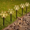 Solar Christmas Star Lights Outdoor Energy Saving Waterproof Solar Powered