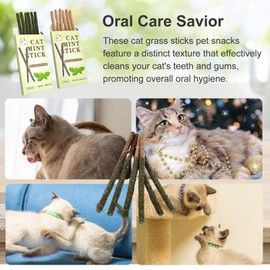 Katzenminze Sticks,12 Stück Matatabi-Kausticks,Matatabi Stick Katze,Catnip Sticks