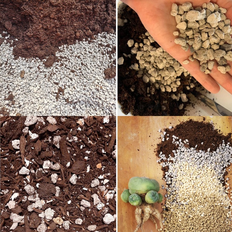 Horticultural Pumice for Plants Professional Sifted (20QT, 1/4 inch)
