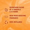 Radox Radox Mineral Therapy Body Wash Shower Gel Collection Bundle