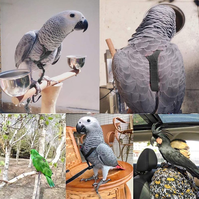 Qcwwy Bird Harness with Flying Rope, Ultralight Lead for Outdoor
