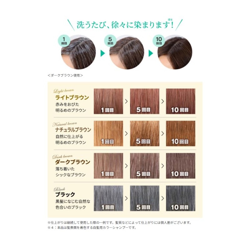 Sastty [For Gray Hair] Rishiri Color Shampoo 200ml (Black)