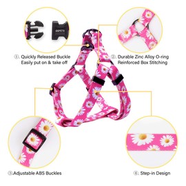 QQPETS Dog Harness Leash Set Adjustable Heavy Duty No Pull Halter Harnesses for Small Medium Large Breed Dogs Back Clip Anti-Twist Perfect for Walking (XS(12"-18" Chest Girth), Daisy)