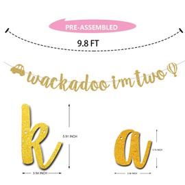 Wackado* I'm Two Banner, Gold 2nd Birthday Party Decoration, Second Birthday, Babis’2 Years Old/Two Fast/Cheers to 2 Years Party Supplies Pre-Strung