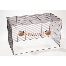 Europet Bernina International Rodent Coconut Ball House with Ladder and Rope Attachment, 2 x 13 cm
