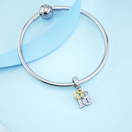 DALARAN Sterling Silver 16 18 30 40 50 60 Years Old Charms for Charm Gold Plated Heart Birthday Gift, Sterling Silver, Cubic Zirconia