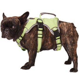 Paworld No Escape Dog Harness, Escape Proof Harness, Fully Reflective Harness with Padded Handle, Breathable,Durable, Adjustable Vest for Medium Dogs Walking, Training, and Running Gear (Green, S)