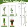32.6In Plant Trellis for Climbing Plants | 2 Pack Monstera