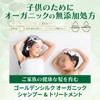 World Standard Organic Golden Silk Organic Shampoo Treatment [95% Naturally
