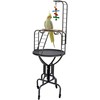 Elegant Design and Strong Wrought Iron Parrot Cockatiel Cockatoo Bird
