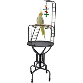 Elegant Design and Strong Wrought Iron Parrot Cockatiel Cockatoo Bird Play Gym Ground Rolling Stand with Metal Pan & Climbing Ladder