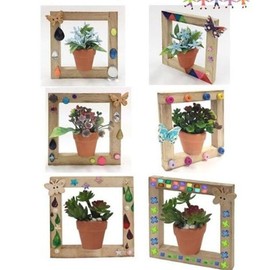 Making Cute Mini Flower Pots (For 5 People) C Succulent Kindergarten Crafts Art Materials Elementary School Art Creative Class / 깜찍 미니 화분 만들기(5명용) C 다육 유치원만들기 미술만들기재료 초등학교미술 창의수업