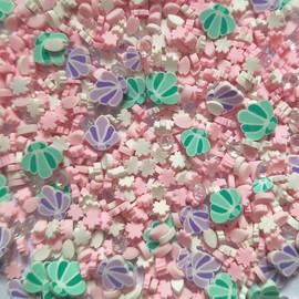 40g Fimo Polymer Shells Slices Art Design Charms Supplies Mix Slices Clay DIY Craft (Shell)