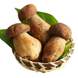 easyum Organic Dried Porcini Mushrooms 2oz, Premium Grade