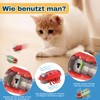 letcdfer Pack of 6 Mini Beetle, Cat Toy, Interactive Beetle,