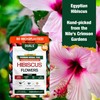 Duals Natura Tea (Hibiscus)