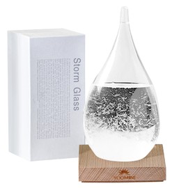 Storm Glass Weather Predictor - Weather Forecaster Station with Wooden Base for Home and Office Decor, Snow Globe Barometer, Creative Christmas Birthday Gifts for Him, Her
