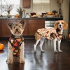 LyssKMK 4 Pack Thanksgiving Day Dog Shirts Fall Pumpkin Turkey