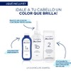 Miss Clairol Tinte Permanente 81 Rubio Cenizo