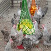 CooShou Chicken Vegetable String Bag Poultry Fruit Holder Chicken Cabbage