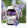 Gamma-Linolenic Acid Benefits Borage Oil 6 Months / 감마리놀렌산 효능