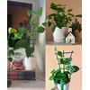 12 Pcs Garden DIY Mini Climbing Trellis Plastic Superimposed Potted