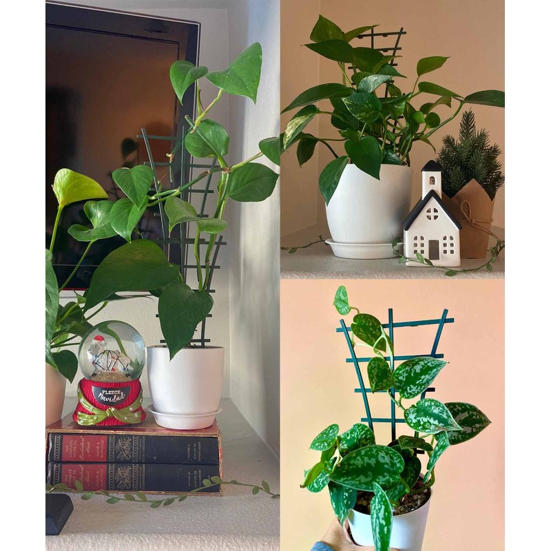 12 Pcs Garden DIY Mini Climbing Trellis Plastic Superimposed Potted
