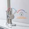 Kitchen Faucet with Pull Down Sprayer, Brush Nickel Pull Out