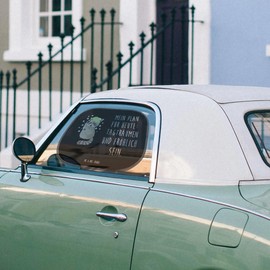 Mr. & Mrs. Panda Car Sun Shade Raccoon Gift Animal Motifs Washing Soap Bubbles Sun Protection for Car Windows Sun Car