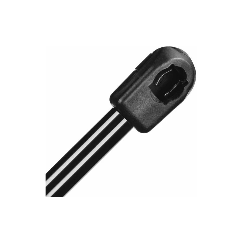 BOXI Pair Rear Trunk Tailgate Lift Supports Shock Struts for