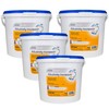 Durachlor Alkalinity Increaser (10 lb) (4 Pack)