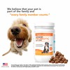 Advanced Probiotic Soft Chews for Dogs - Veterinarian-Strength Probiotic Support