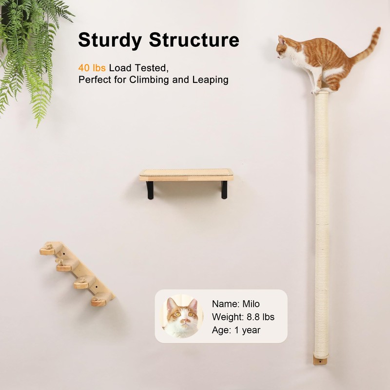 FUKUMARU Cat Wall Scratcher, 60" Tall Wall Mounted Kitten Scratching