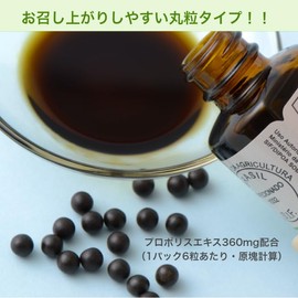 クインビーガーデン プロポリス丸粒 27g 6粒×30包