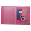 Kyokto Associates Kyokuta 30-Ring Binder Flap Pocket A4 Clear 5